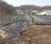 민주당 소속 국회의원 12명 불법 부동산 거래 의혹