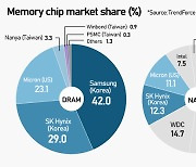 Samsung Elec, SK hynix¨s memory supremacy challenged by Micron tech advance