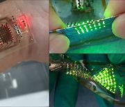 Samsung develops skin-wearable 'stretchable OLED' display