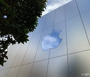 애플·MS 美 IT기업들 속속 사무실 복귀추진..삼성·네·카는 언제?