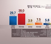 국민의힘 지지율 38%..전당대회 앞두고 상승세