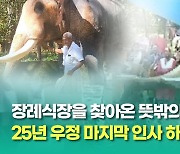 [영상] 25년 우정 마지막 인사, 장례식장 찾은 코끼리