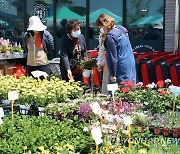 태안로컬푸드직매장 꽃시장 찾은 관광객