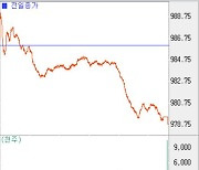 [코스닥 마감]외국인 '팔자' 속 하락..'980'선 하회