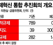 [말뿐인 규제혁신]규제개혁 한다더니..더 촘촘해진 '금융규제 칸막이'