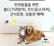 KB국민 리브엠, '반려행복 LTE 요금제' 출시