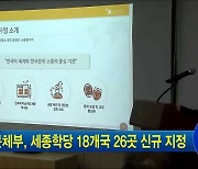 문체부, 세종학당 18개국 26곳 신규 지정