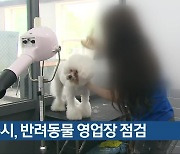 청주시, 반려동물 영업장 점검