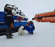 러시아 실종견, 북극 얼음 위에서 발견 '주인과 극적 재회'
