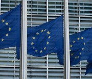 미국 이어 EU도 "코로나19 기원 조사해야"