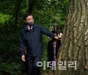 서울 남산의 소나무, 정부·지자체가 체계적 관리 나선다