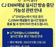 [아!이뉴스] 'U+모바일tv'에 CJ 빠질까..민·관 '랜섬웨어' 맞손