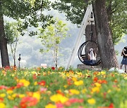 가평장학관 입사생들이 '자라섬 남도 꽃정원'으로 추억여행 떠난 이유