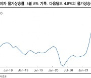 "美 CPI, 5월 피크겠지만 6월에도 4.8% 상승할 것"