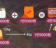 [발품뉴스] 김치 사면 싸고, 만들면 비싸다?..직접 담가보니