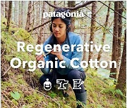 파타고니아, '재생 유기농 인증' 컬렉션 출시