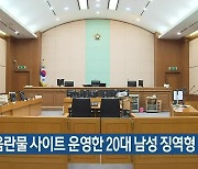 불법 음란물 사이트 운영한 20대 남성 징역형