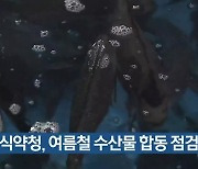 부산식약청, 여름철 수산물 합동 점검