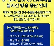 LGU+ "CJ ENM 협상 결렬은 비상식적 인상 요구·티빙 육성 때문"