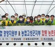 경남농협, 영농철 일손부족으로 어려움 겪는 '농촌일손돕기'