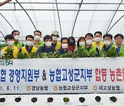 경남농협, 영농철 농촌 일손돕기 활동 펼쳐