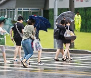 한국, 이미 아열대 기후로 변하고 있다!