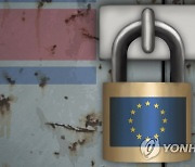 EU "대북정책 관련 美와 빈번 접촉중..인권 증진 공유"