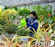 노동신문 "식물 비배관리 나선 중앙식물원"