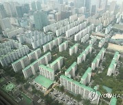 서울에서 50년 넘은 아파트 173동