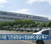 부울경 의원 "인천공항공사 항공MRO 중단 촉구"