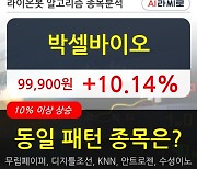 박셀바이오, 장중 반등세, 전일대비 +10.14%.. 최근 주가 반등 흐름