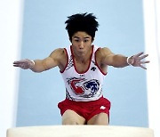 류성현·이준호·양학선 등 남자 기계체조 올림픽대표 선수 확정
