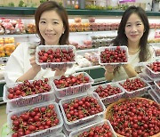 농협 하나로마트, '경북산 체리 맛은?'