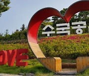 신안군, 800만 송이 '섬 수국' 랜선 축제 개최