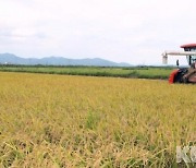 농식품부 고품질 쌀 유통활성화 전남 7개사업 선정