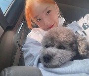 태연, 오렌지색 헤어도 잘 어울려..반려견 제로와 깜찍 투샷[M+★SNS]