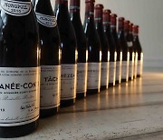 데일리샷 술픽업 전국 와인 카테고리 오픈 기념, 로마네 콩티 13병 세트 판매
