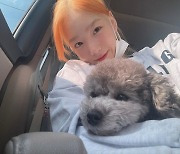 태연, 또 탈색? 이번엔 오렌지 컬러로 활짝 "역시 믿보탱" [SNS★컷]