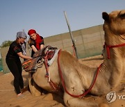 UAE FEMALE CAMEL RIDING SCHOOL