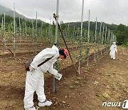 거창군, '과수화상병' 사전방제조치 이행 행정명령 발령