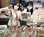 이마트, 제철 '국산 생오징어' 할인 행사