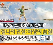 [이슈] 젤다 신작이 온다, '젤다의 전설: 야생의 숨결' 후속작 2022년 발매 확정!