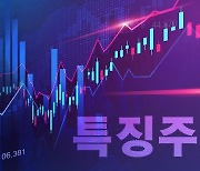 [특징주] 쌍방울, 이스타항공 인수 우선협상대상 선정 실패에 이틀째 급락