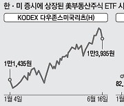 "인플레 압박 넘자" 서학개미 몰린다..美 부동산ETF 리츠