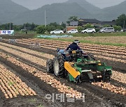 [포토] 양파 수확작업 기계화 시연회