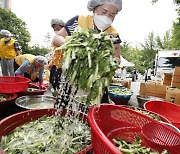 [Photo] Korean Red Cross hosts kimchi-making charity event