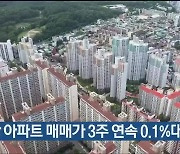 울산 아파트 매매가 3주 연속 0.1%대 상승