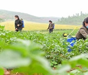 북한 "농업부문, 일분일초 쪼개 두벌농사 적기에 끝내야"