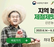 전북 거시기장터, 수박 조기 완판