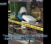 '실화탐사대' 서울 도심 한복판 벌떼 습격, 정체는 누군가의 반려곤충?